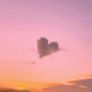 A片视频之美发沙龙
